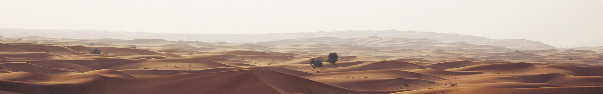 ˲Ƽ޹˾